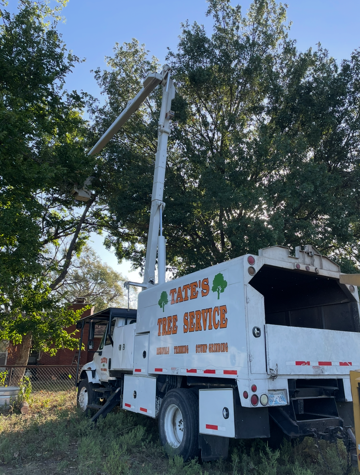 A white truck that says ' carter 's tree services ' on it