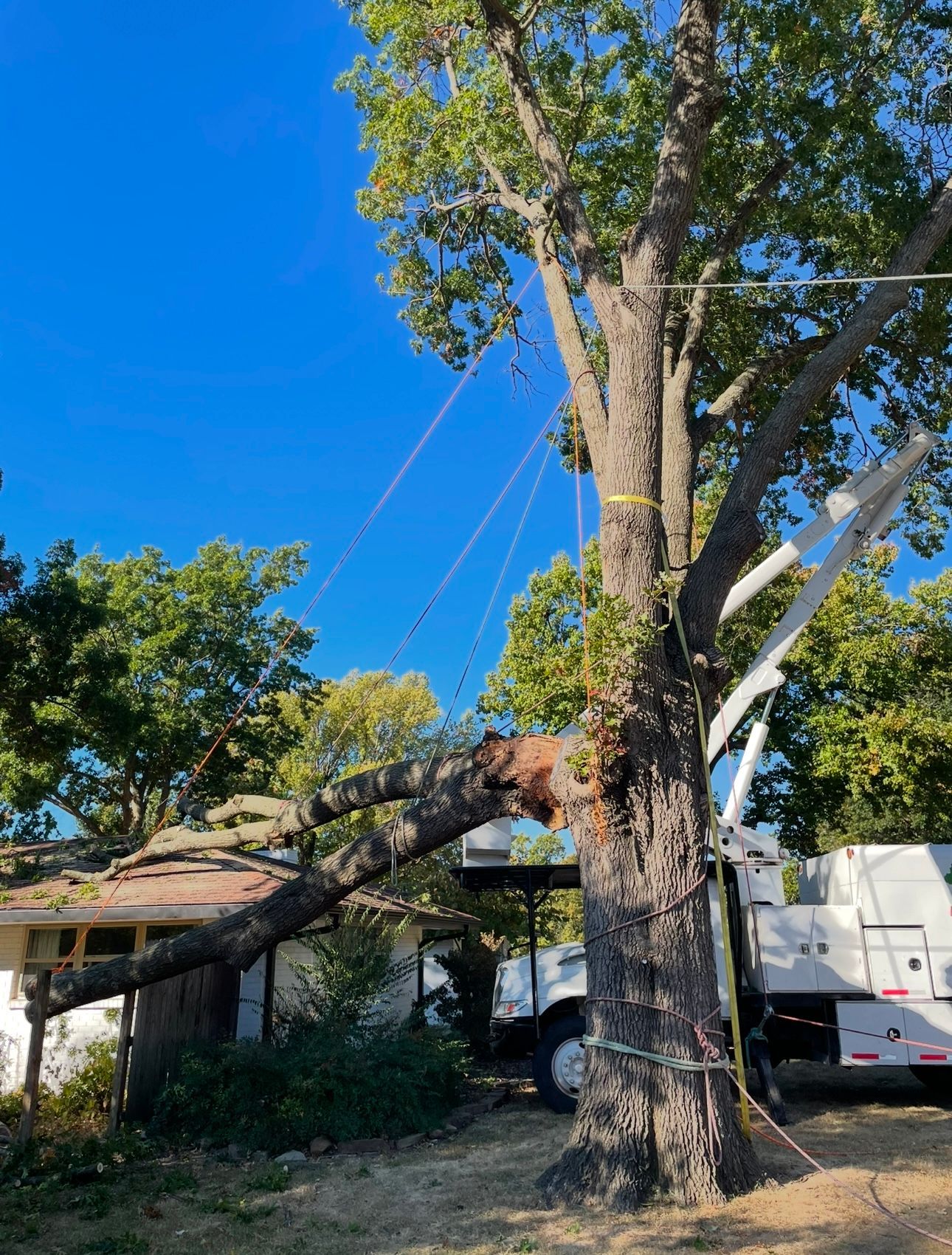 A tree is being cut down by a crane in front of a house.