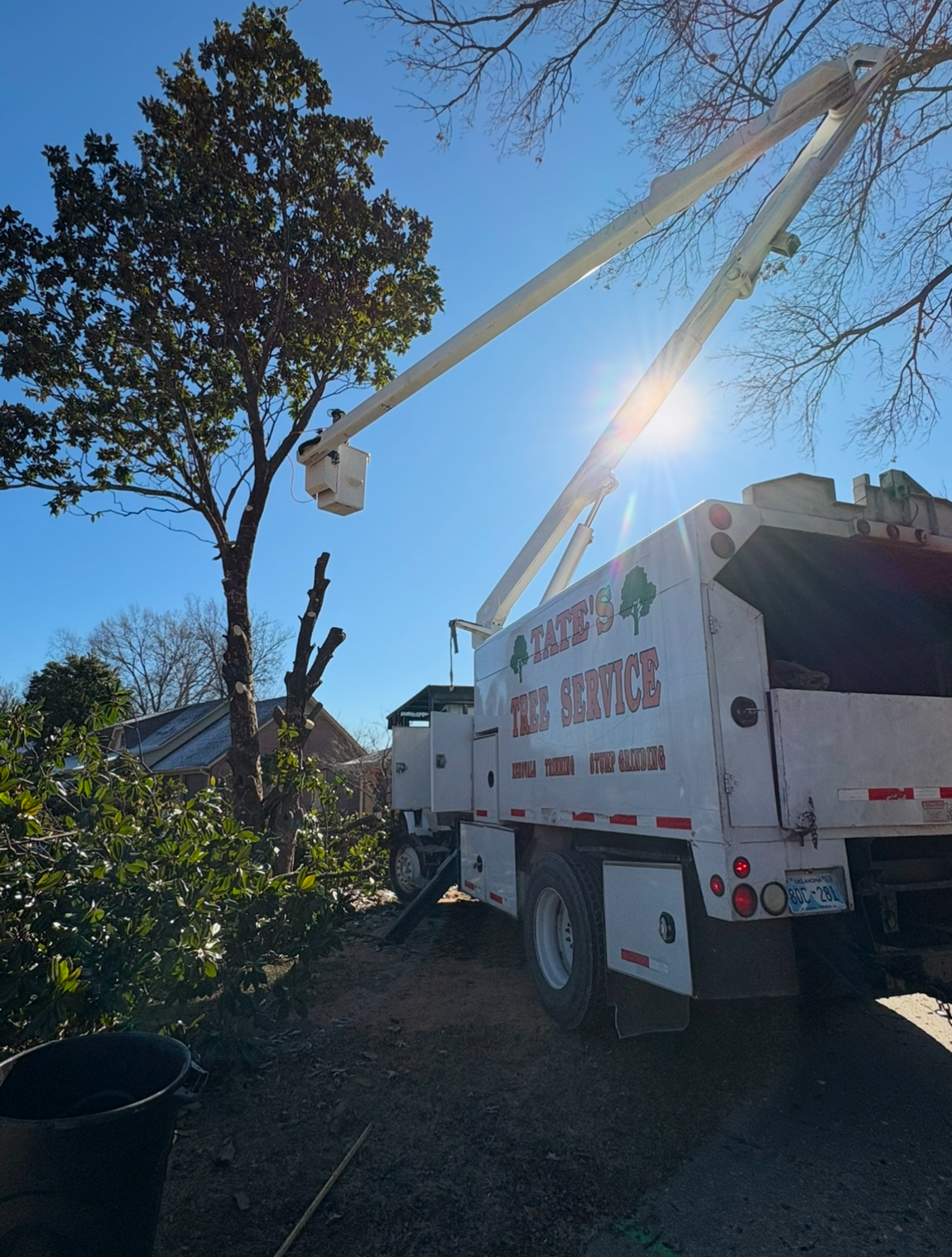 A white tree trimming truck is parked next to a tree.