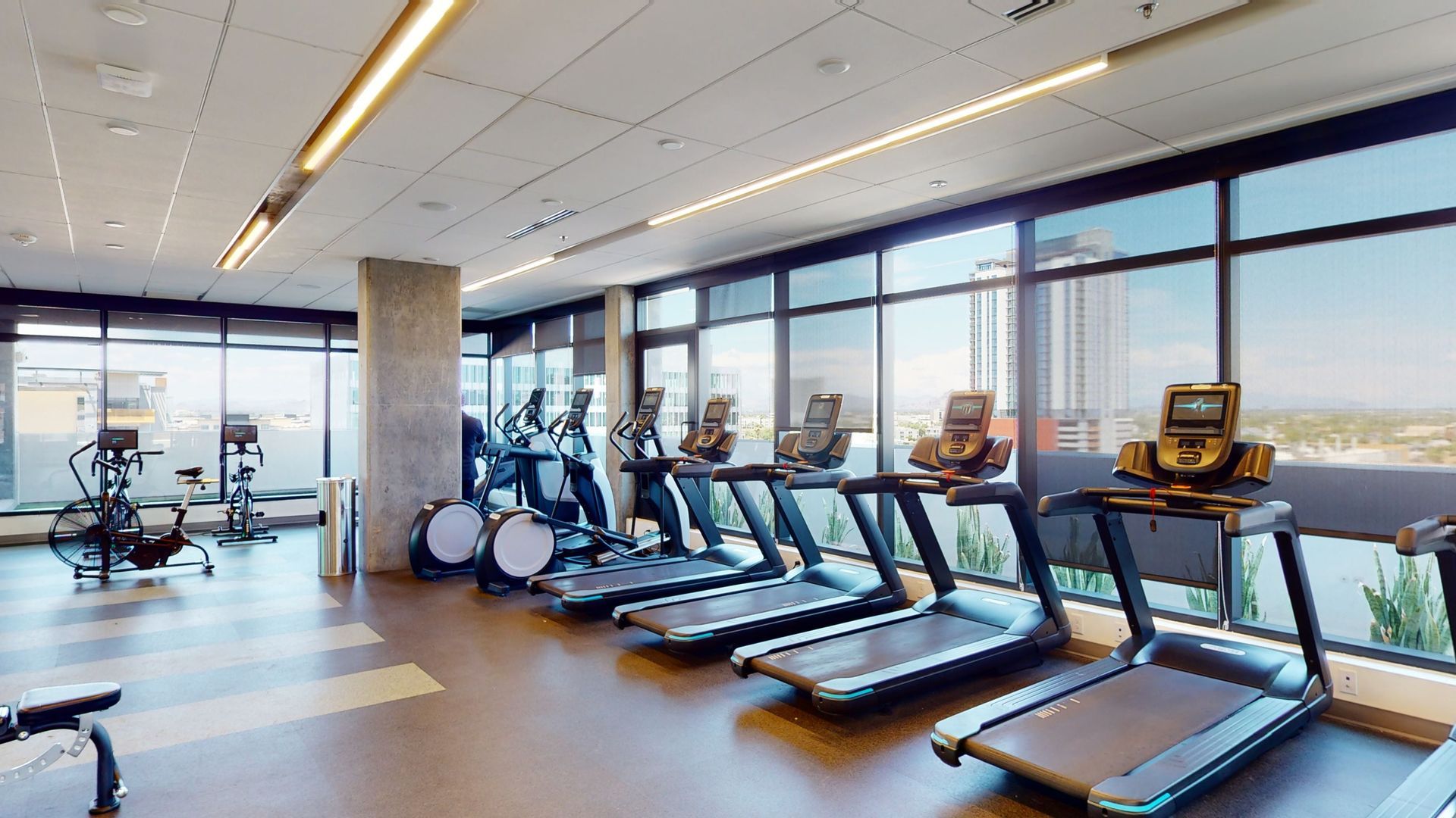 A gym with a lot of treadmills and exercise bikes.