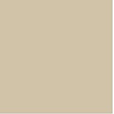 A close up of a beige tile on a white background.