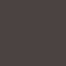 A close up of a piece of brown paper on a white background.