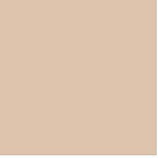 A close up of a beige square on a white background.