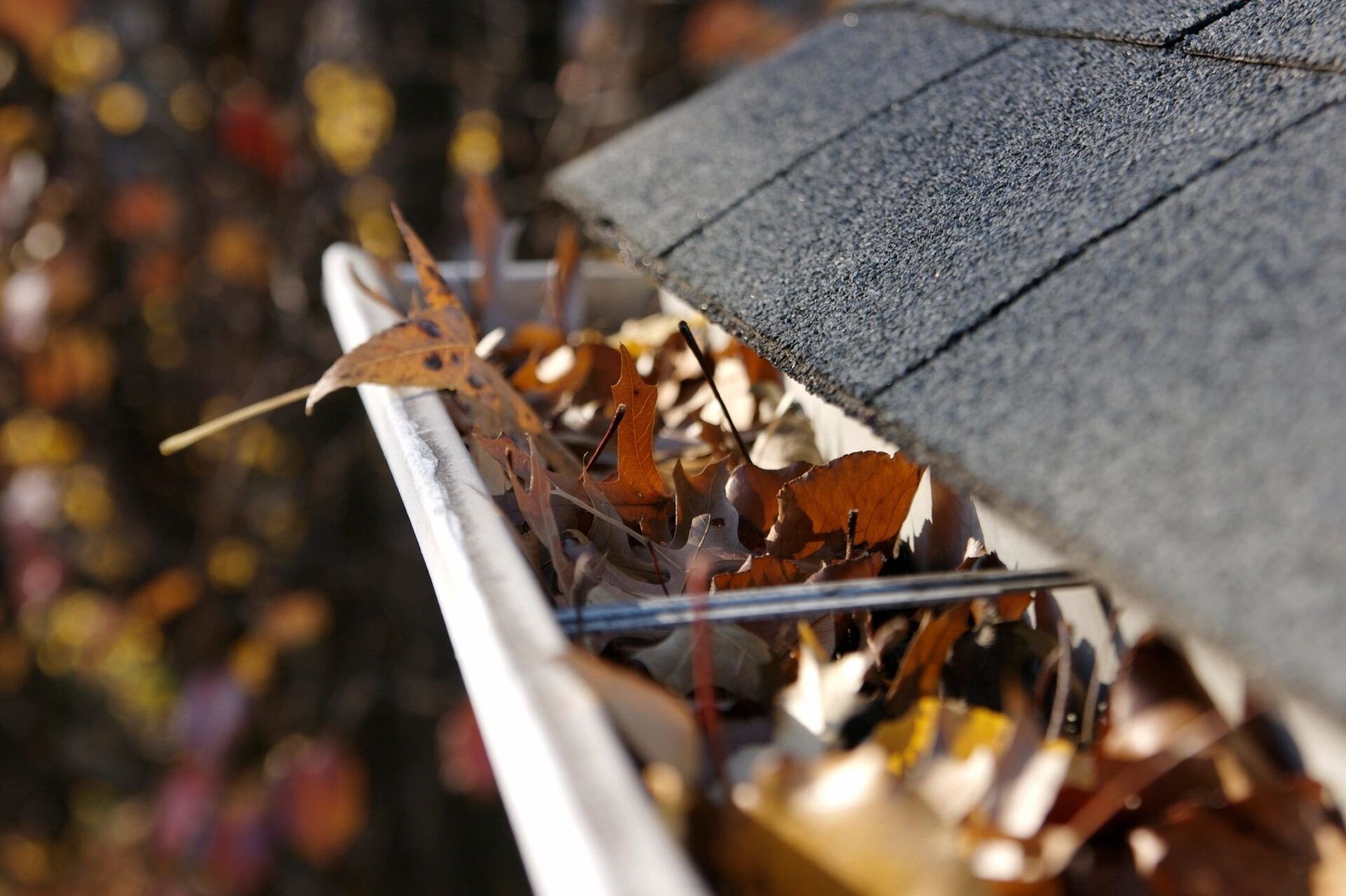 A gutter filled with leaves on the side of a house.