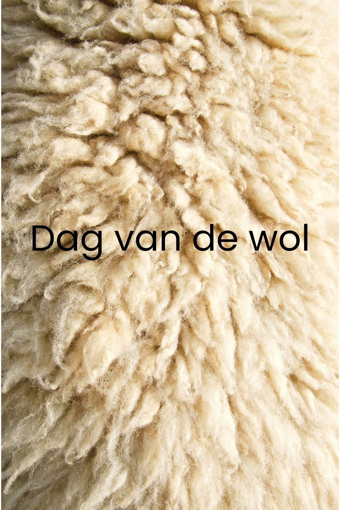 Dag van de wol - Extra Wolcafé (zaterdag 3 oktober)