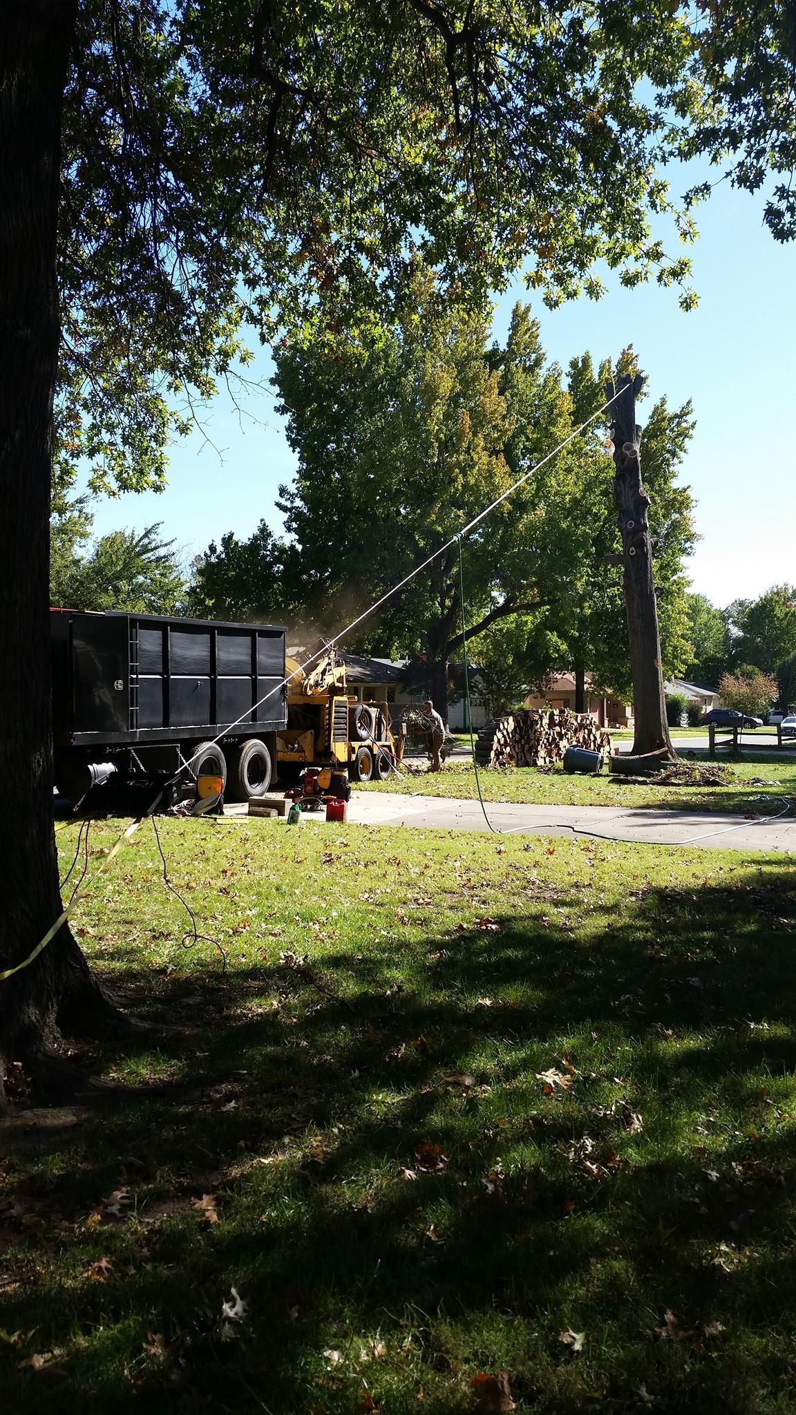Workers prune a tall tree in a residential yard, with a wood chipper and a black dump truck parked nearby.