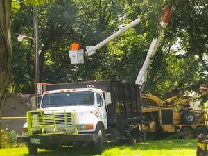 A worker in an elevated bucket truck trims tree branches near a parked dump truck and a wood chipper.