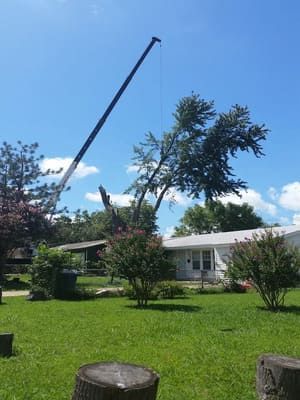 A crane lifts a large tree section near a white house on a sunny day.