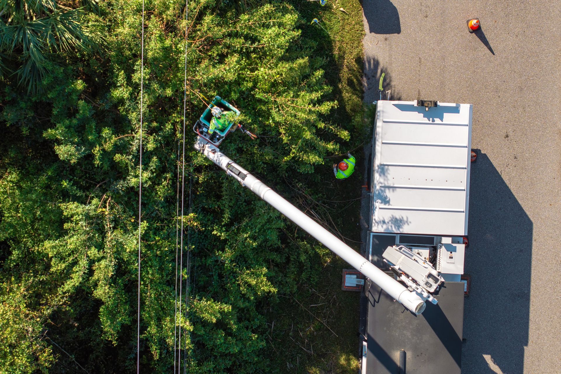 An aerial view shows a utility truck using a bucket lift to clear tree branches away from power lines near a road.