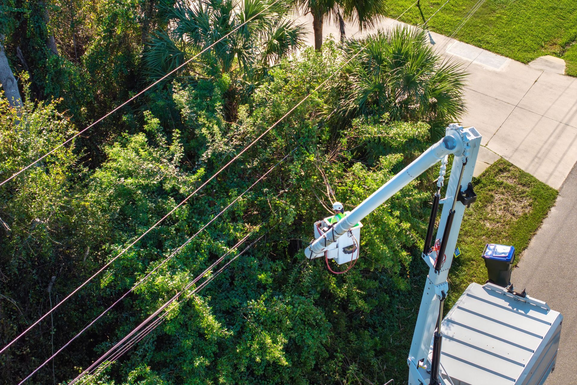 A utility truck's bucket lift raises a worker toward power lines near trees next to a residential street.