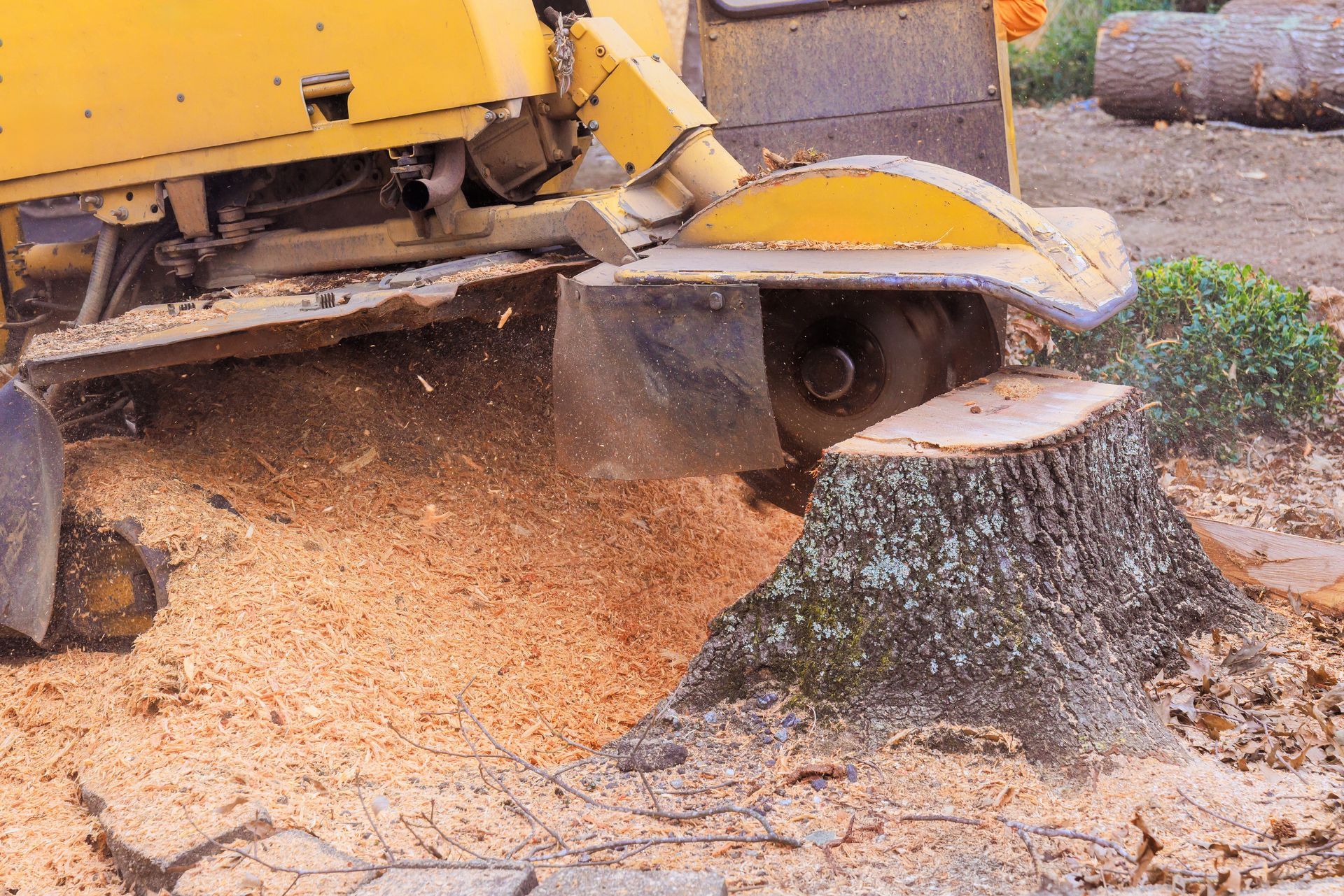 A yellow stump grinder machine grinding down a tree stump, surrounded by a pile of wood chips in an outdoor setting.