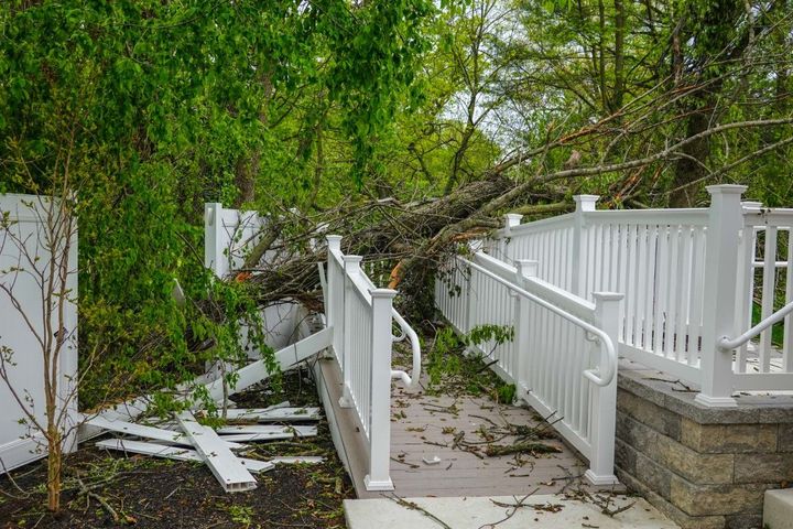 Emergency tree removal crew responding to storm damage with fallen trees blocking a residential street after severe weather.