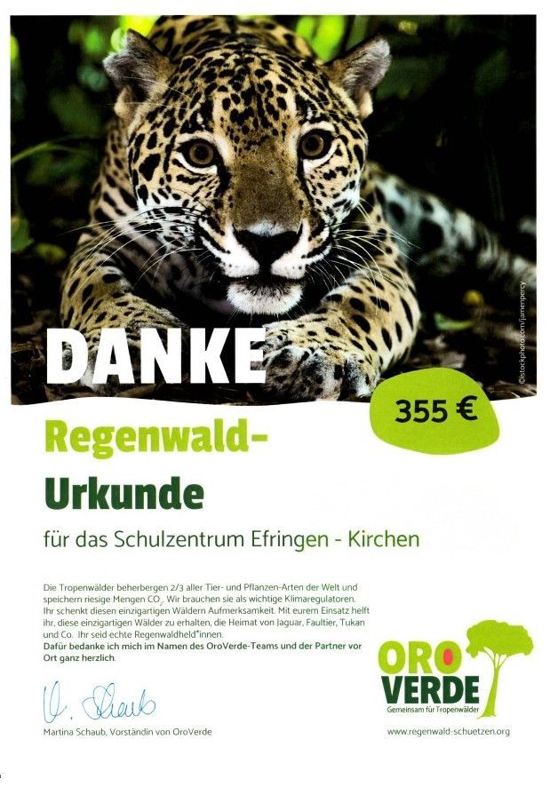 Tatort Regenwald