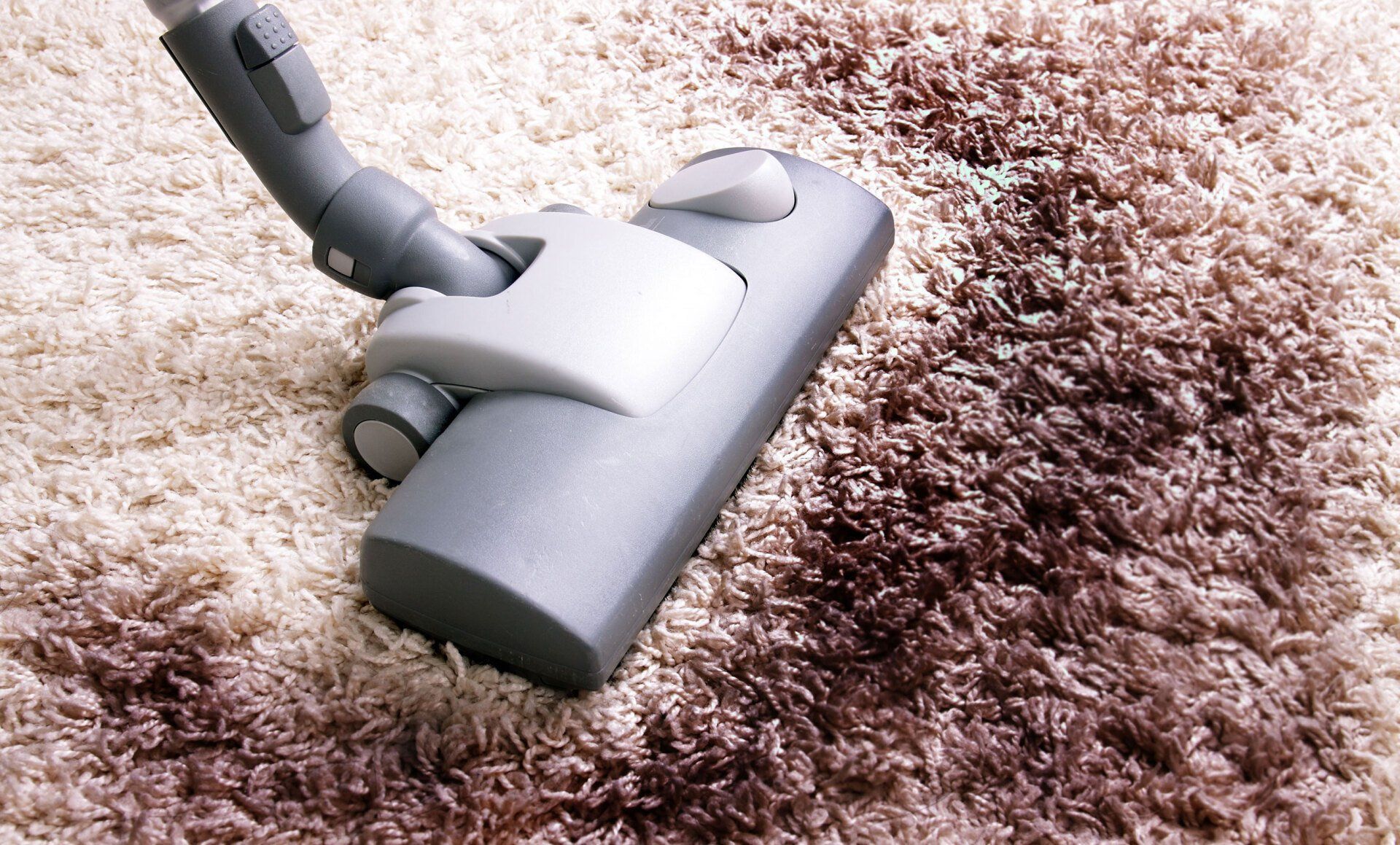 A vacuum cleaner is being used to clean a carpet.