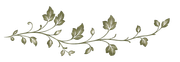 Delicada borda de videira verde-oliva com pequenos ramos e folhas sobre fundo branco.