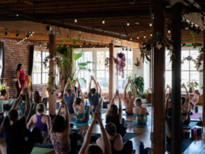 People practicing yoga in a bright studio with large windows and hanging plants