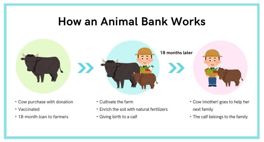 How an Animal Bank Works diagram