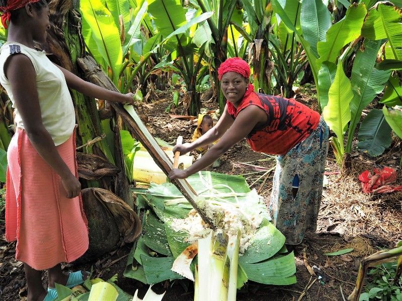 SHG member making Kocho to sell at market