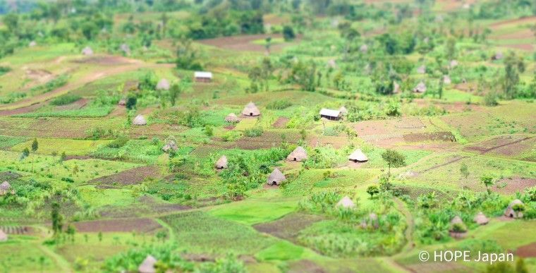 An aerial view of a lush green community of an Ethiopian village.
