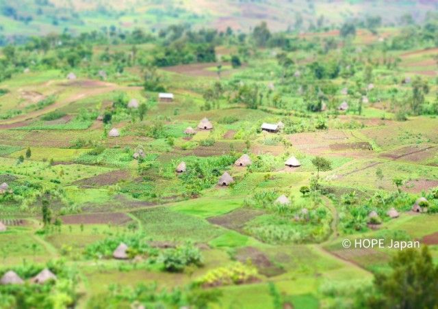 An aerial view of a lush green community of an Ethiopian village.
