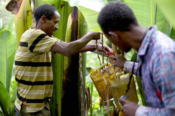 Men in Ethiopia using a tippy tap