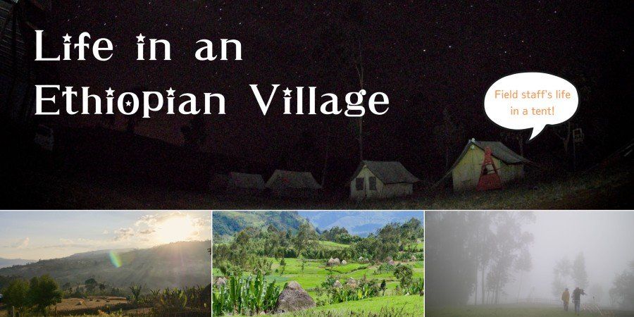 Life in an Ethiopian Village