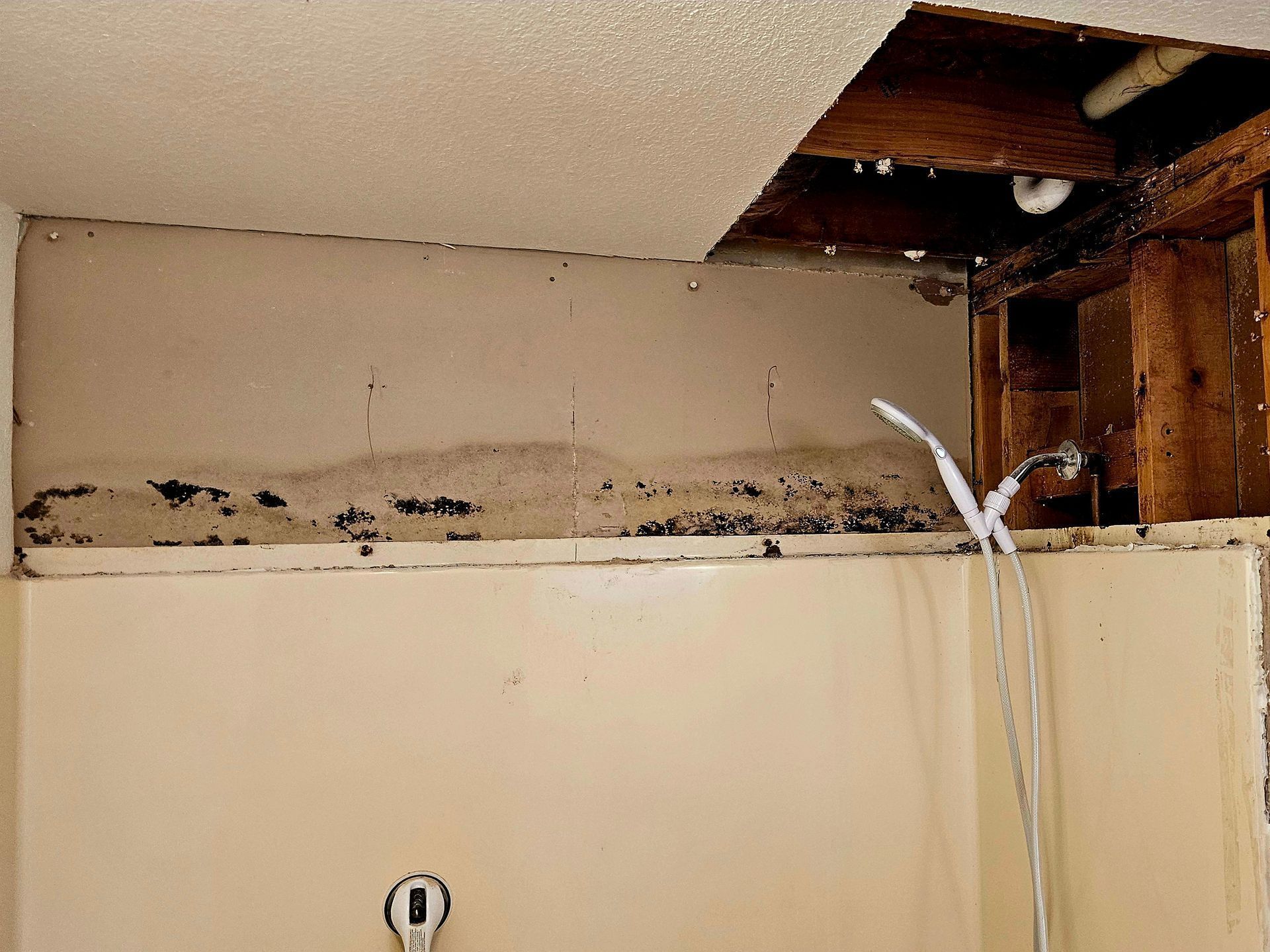 A bathroom with a hole in the ceiling and a shower head