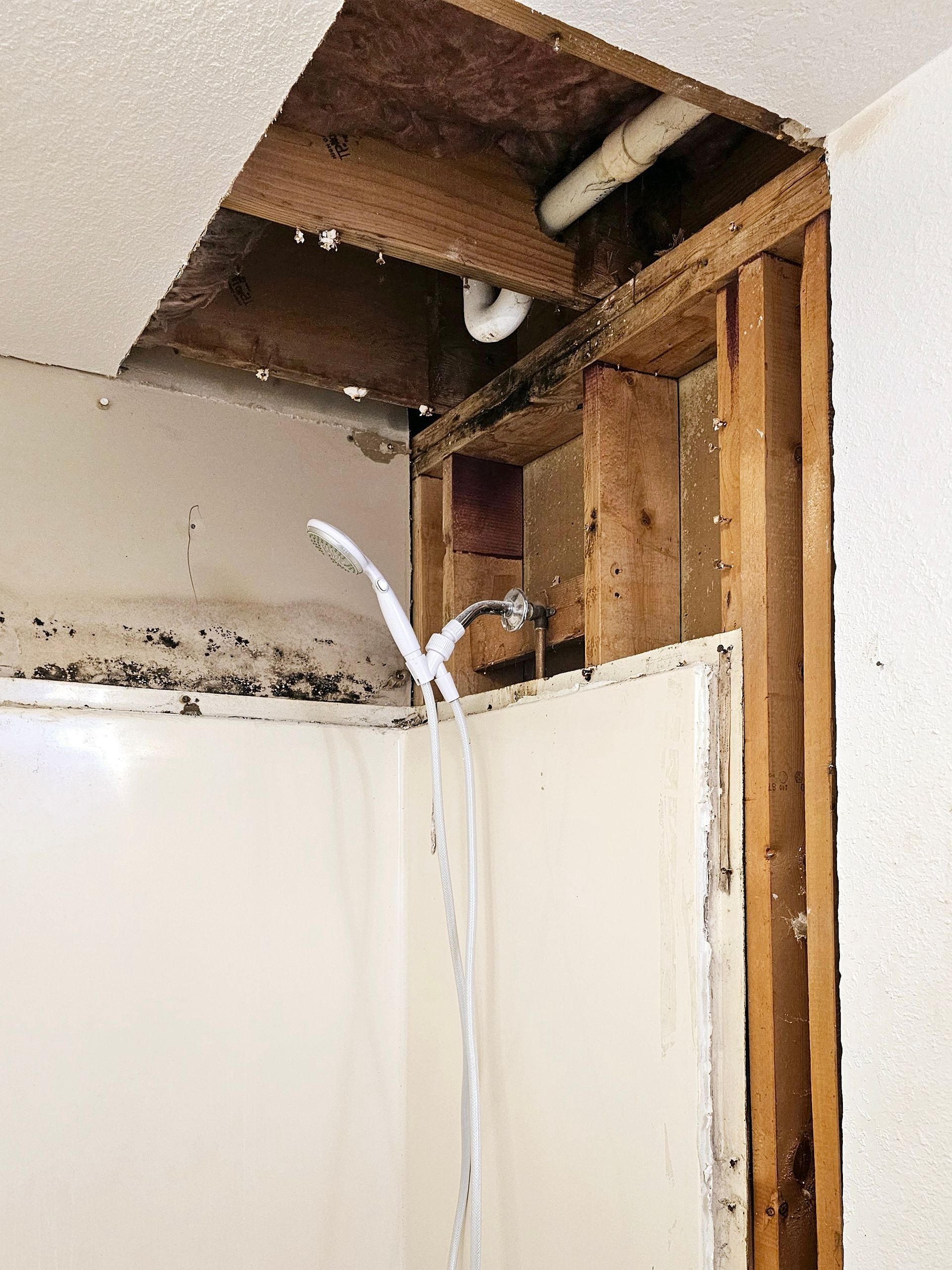A shower head is hanging from the ceiling in a bathroom