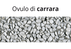 Carrara ovule
