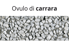 Carrara ovule Carrara ovule