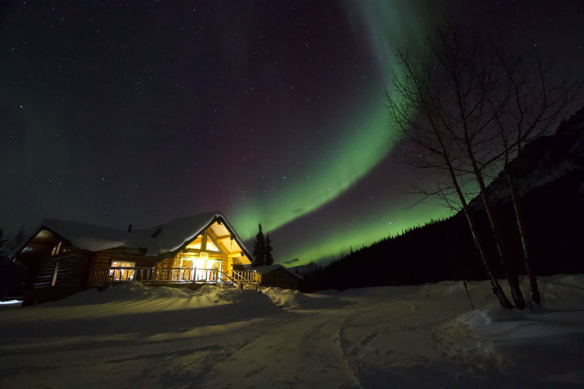 Aurora borealis behind the Log Cabin Wilderness Lodge