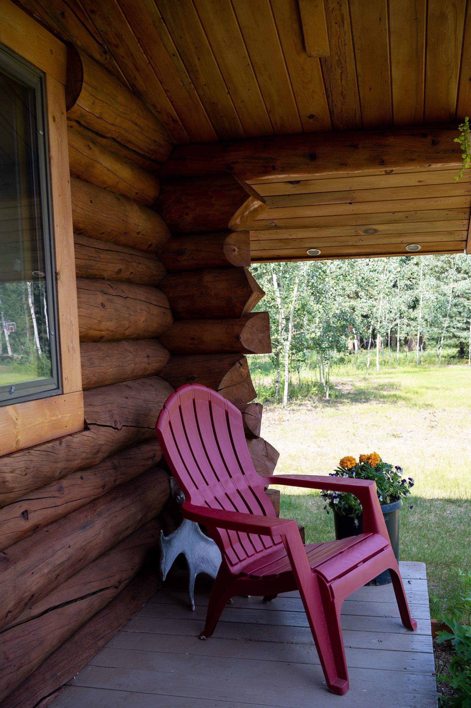 The Grub Steak cabin