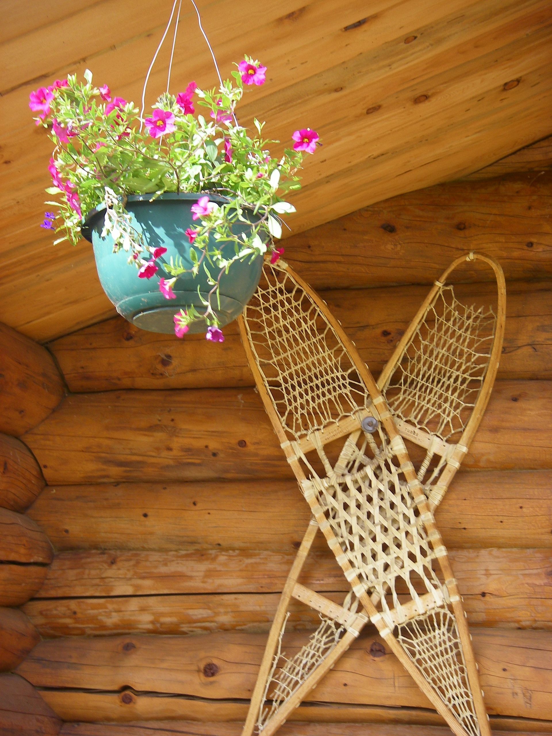 The Grub Steak cabin