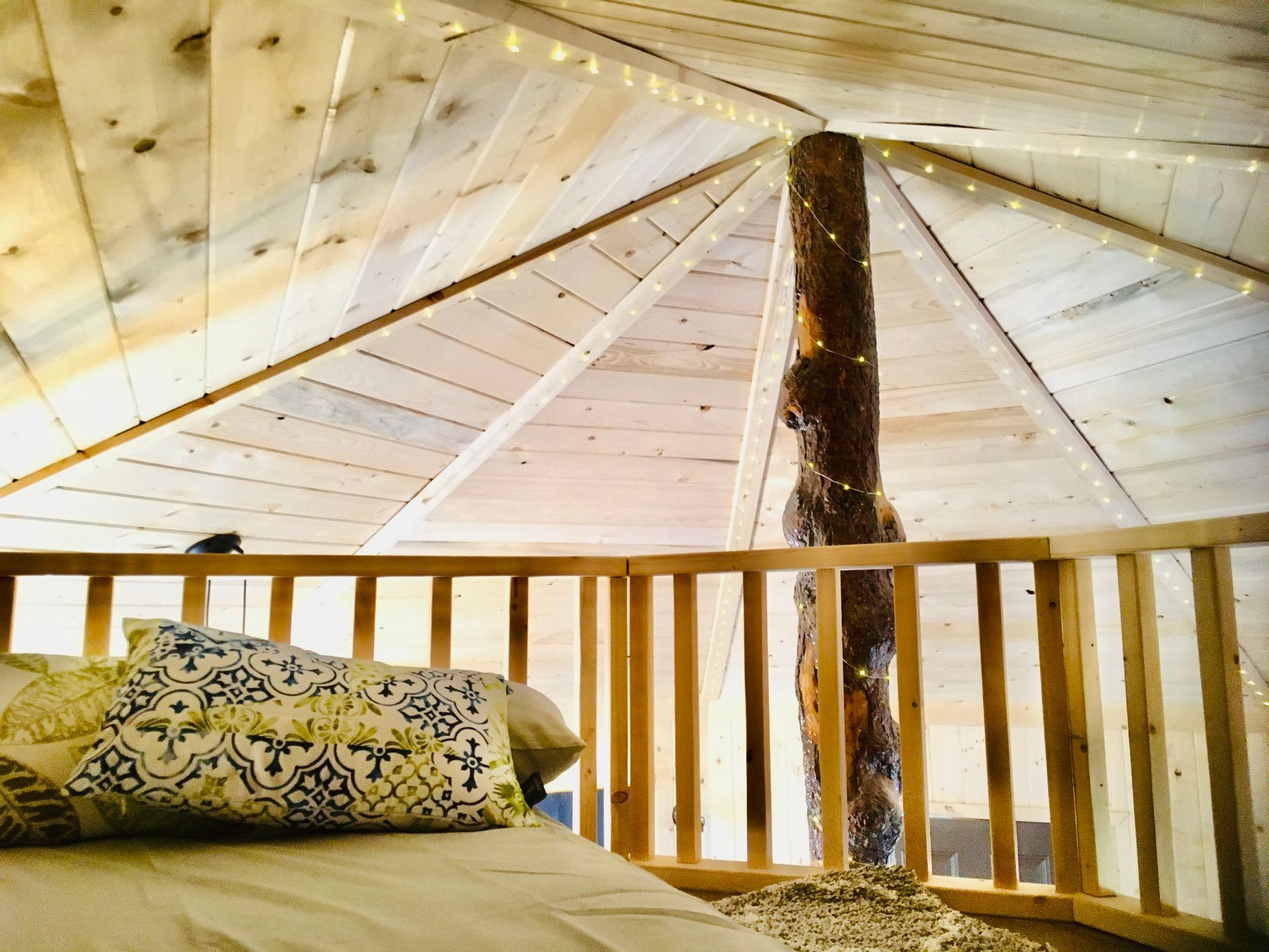 Fire pit at the Log Cabin Wilderness Lodge.