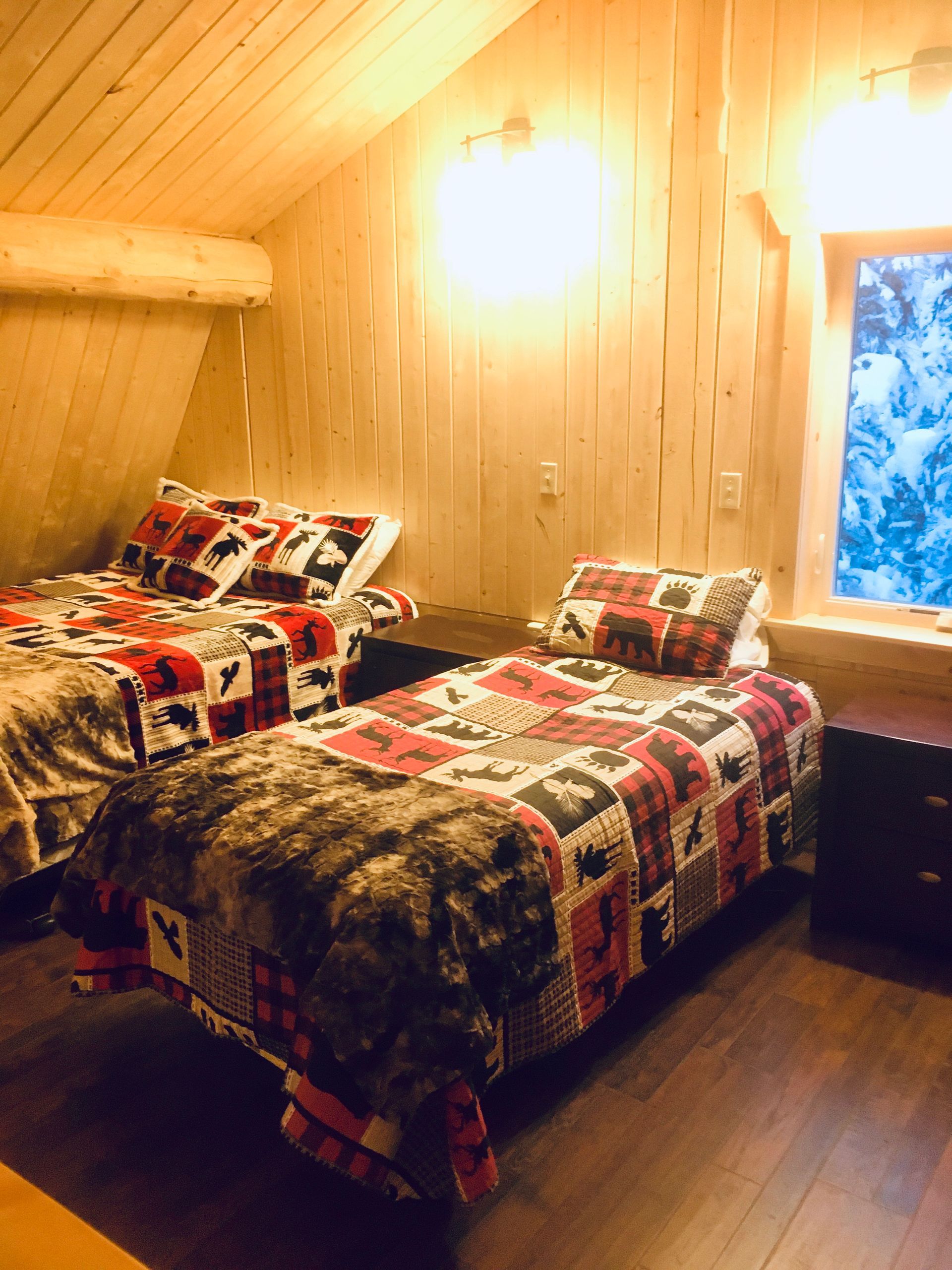 Aerial view of the Log Cabin Wilderness Lodge property