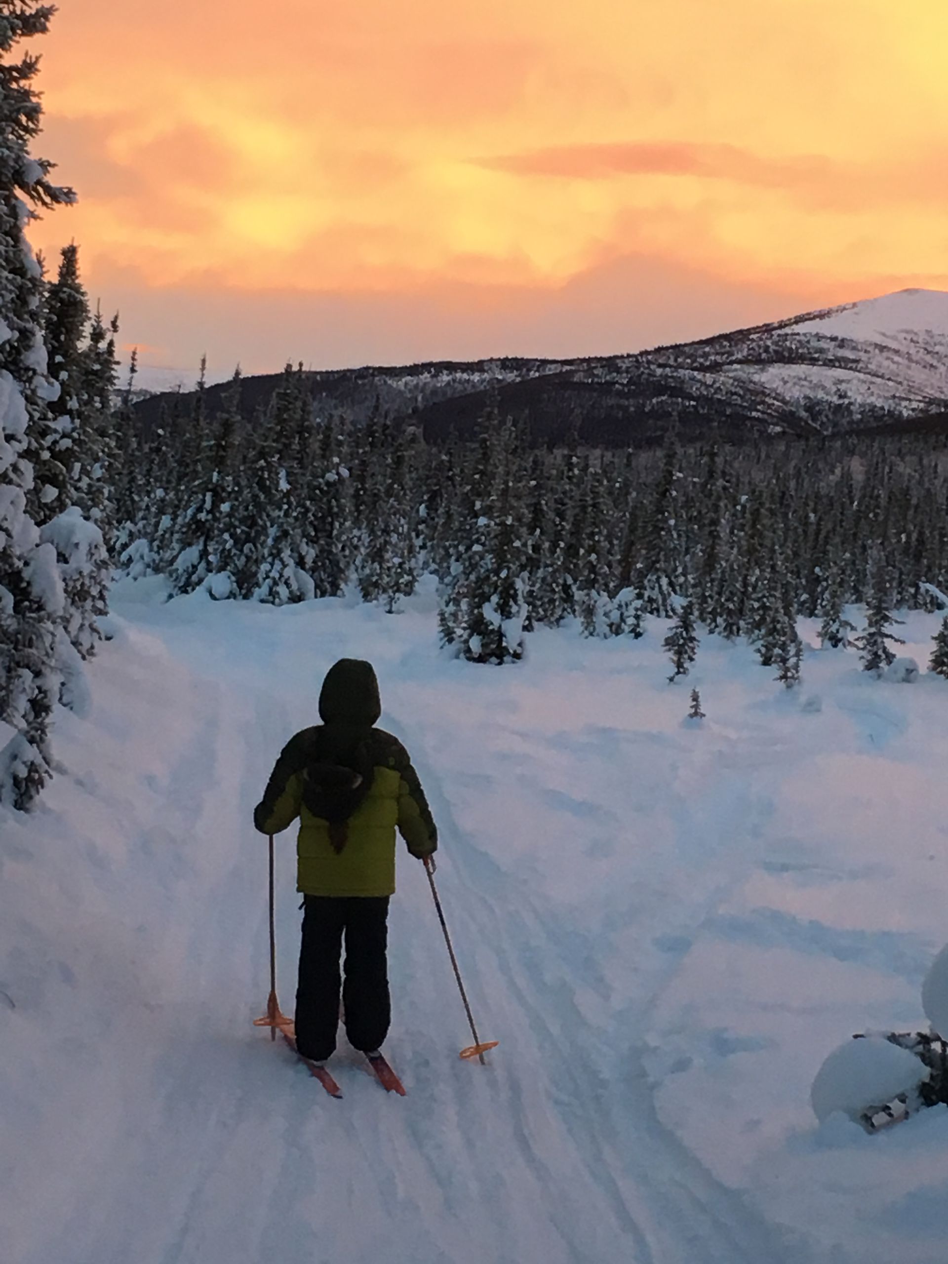 Person cross-country skiing on a snowy trail at sunset. Trees line the trail; mountains are in the distance.