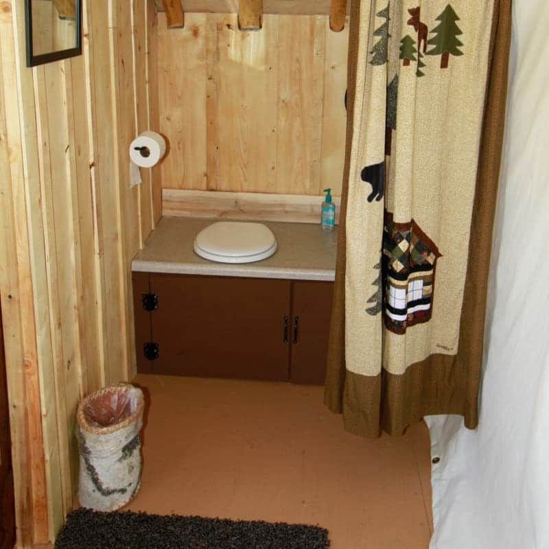 A bathroom with a toilet and a shower curtain with trees on it