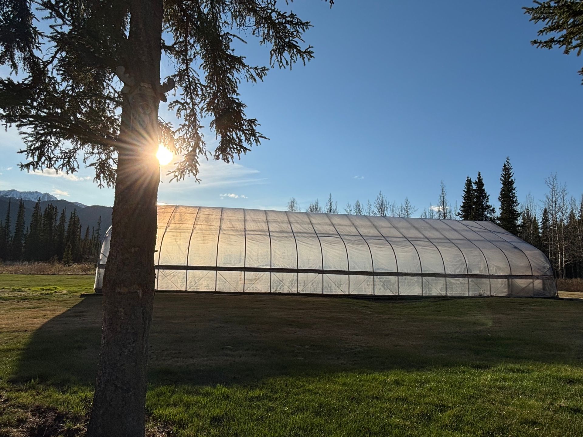 Greenhouse
