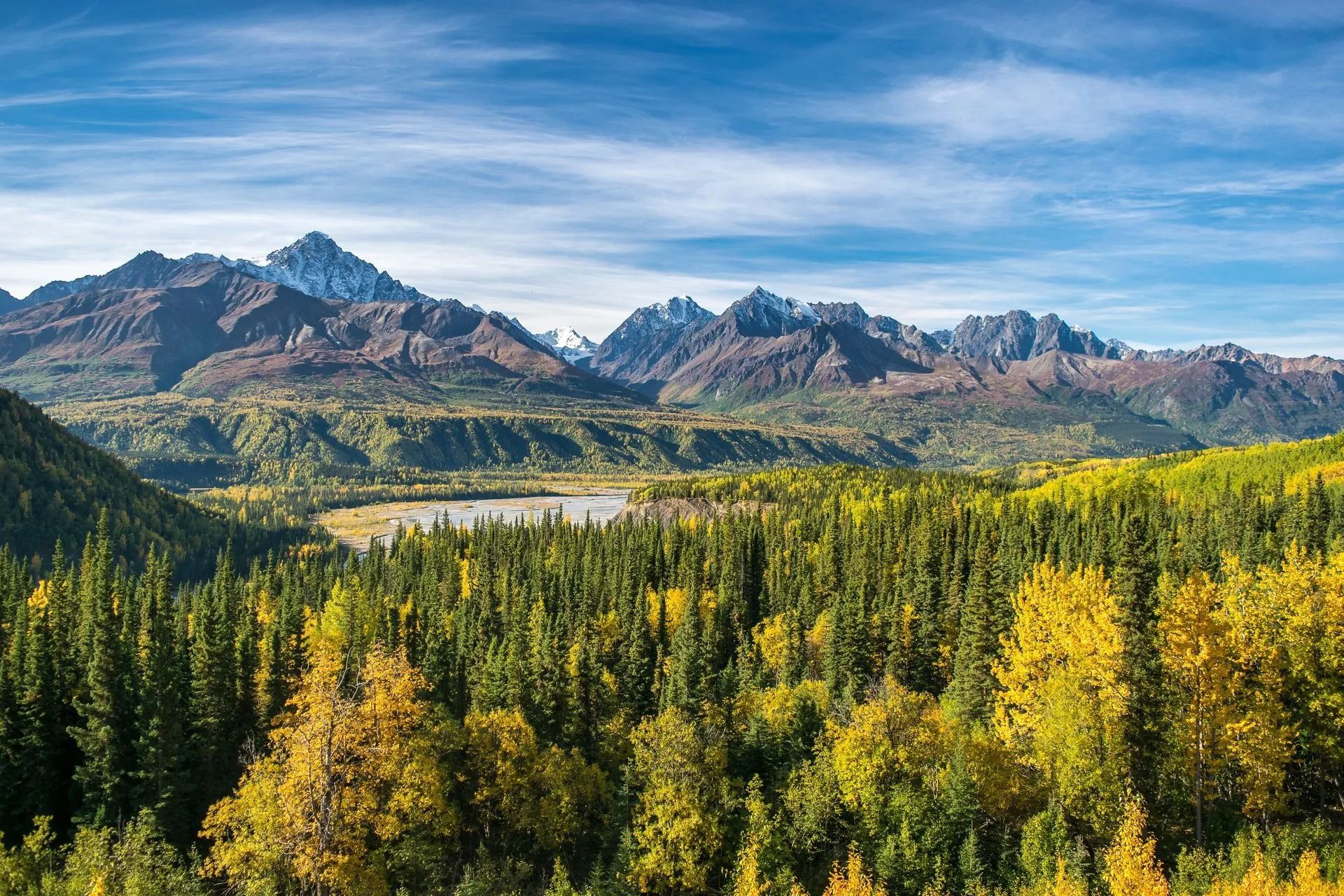 Forest of yellow and green trees with a lake, mountains, and blue sky.