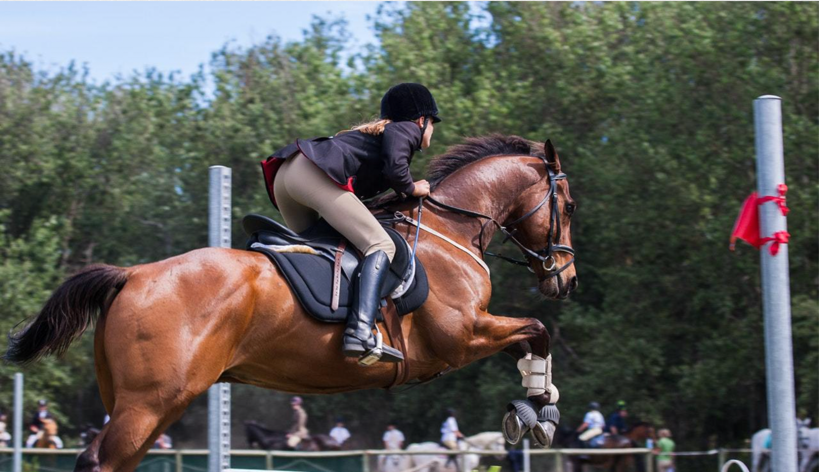 Louisiana Hunter Jumper Association