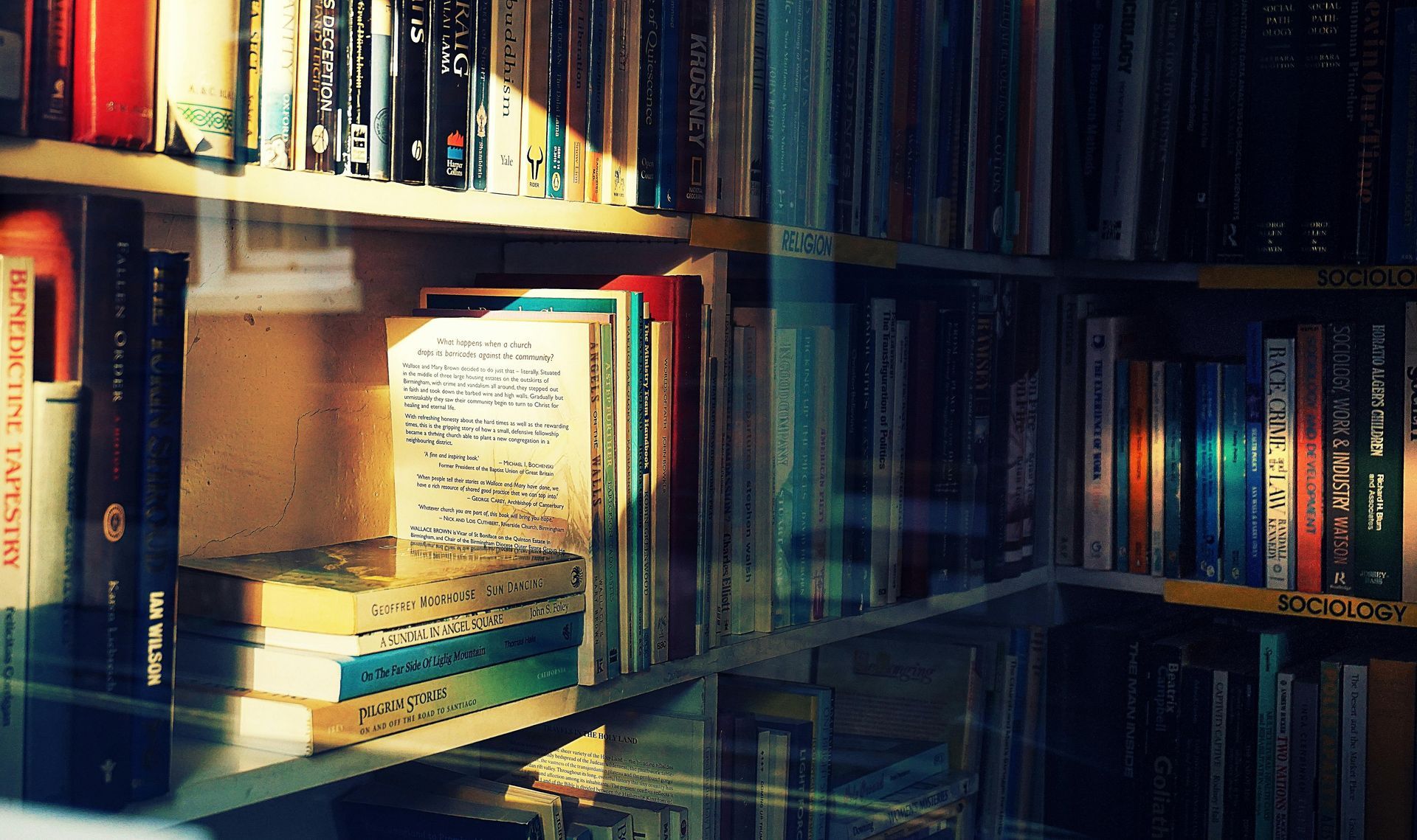 Photo of books on a bookshelf