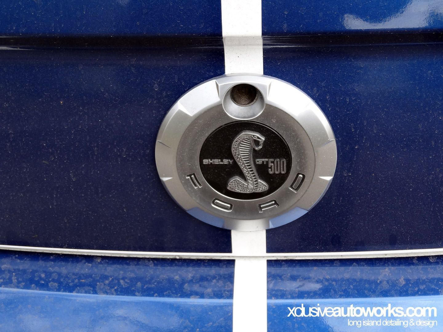A close up of a ford emblem on a blue car
