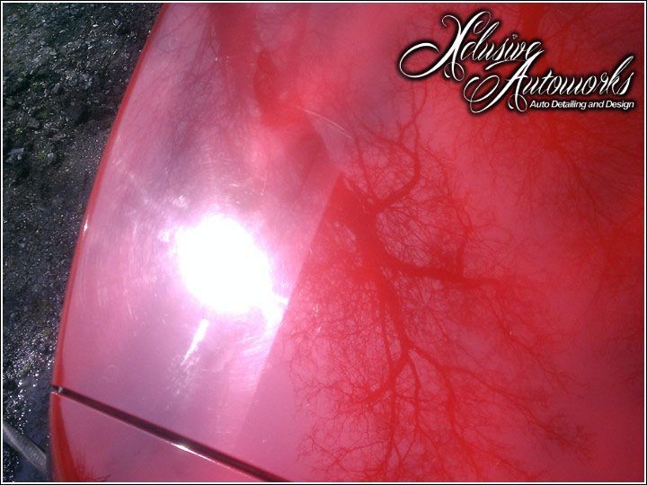 A close up of a red car hood that says xclusive autoworks