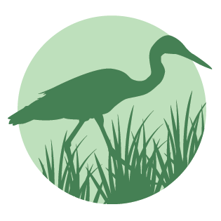 A silhouette of a bird standing in the grass