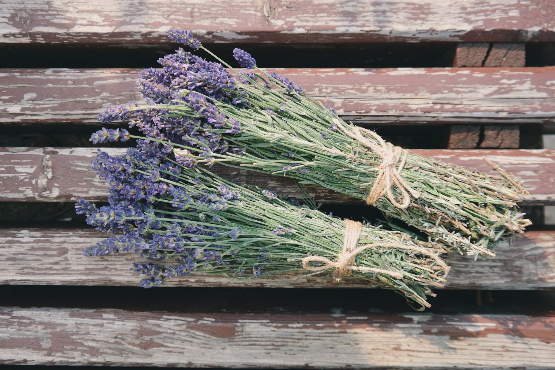 Lavender bundle