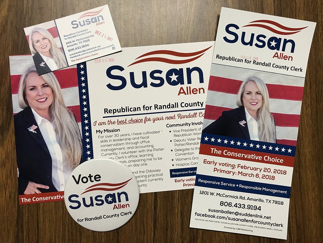 Susan Allen Political Campaign