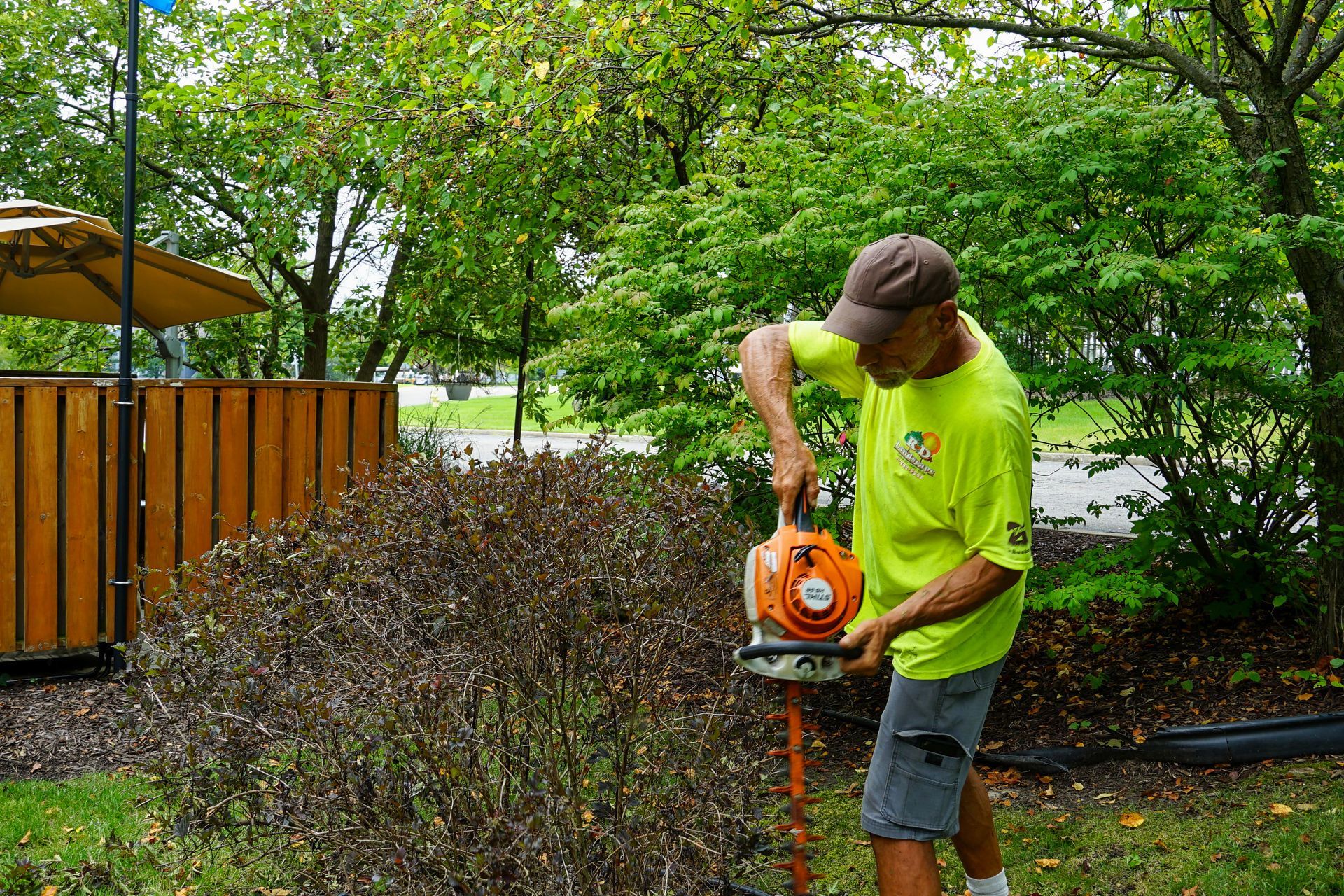 A man in a yellow shirt is using a lawn mower to cut a bush.
