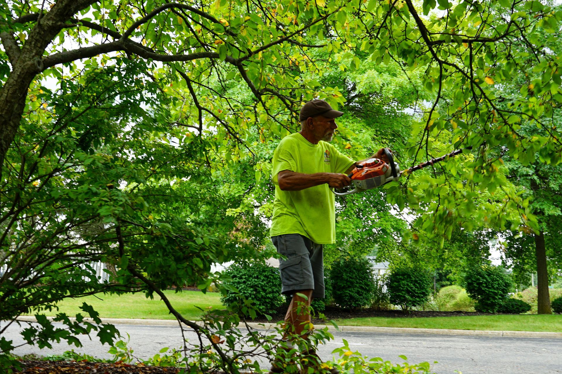 A man is cutting a tree with a chainsaw.