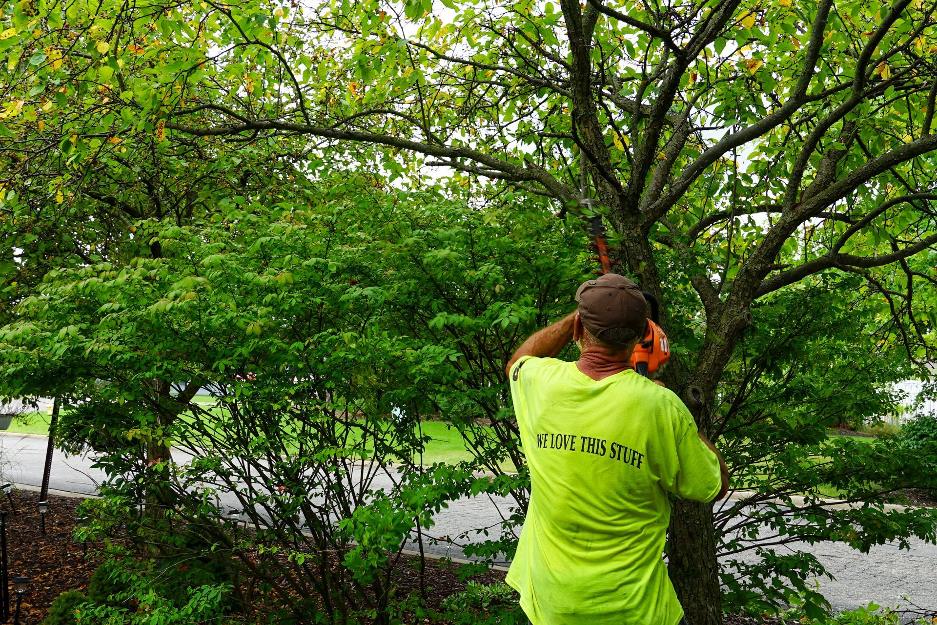 A man in a neon green shirt is cutting a tree with a chainsaw.
