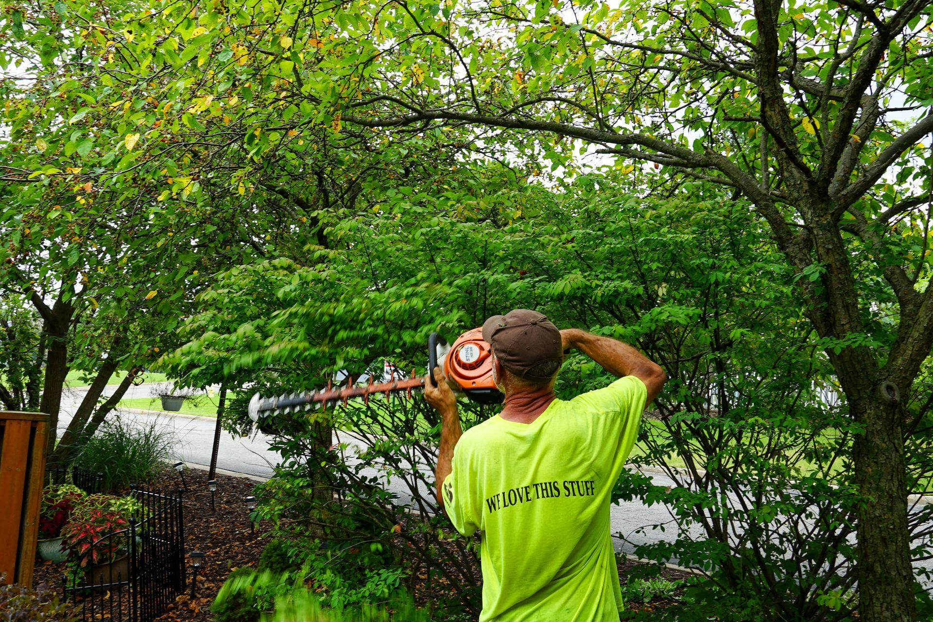 A man in a green shirt is cutting a tree with a hedge trimmer.